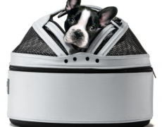 Car Safety Carrier for small dogs and cats