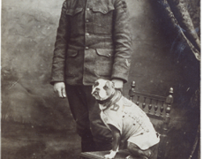 Sergeant Stubby and Robert Conroy