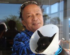man holding dog wearing head cone
